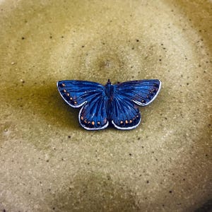 Könnte beinhalten: Eine detaillierte, blaue Schmetterlingsbrosche mit weißen und orangefarbenen Akzenten. Der Schmetterling hat ein detailliertes Flügelmuster und ist vor einem neutralen Hintergrund platziert. Diese dekorative Brosche eignet sich für Kleidung oder Accessoires.