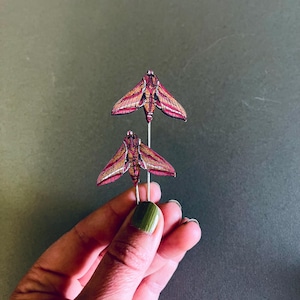 May include: Two decorative moth pins. The pins feature detailed illustrations of moths with pink, gold, and brown wings. The moth pins are attached to silver-coloured metal pins. The background is a solid, muted green.