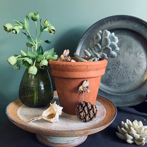May include: A terracotta pot containing a green succulent plant and two small gold bee figurines. The pot is sitting on a wooden pedestal with a seashell and a pine cone.