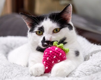 Cat Toys - Cute Strawberry Catnip Toy