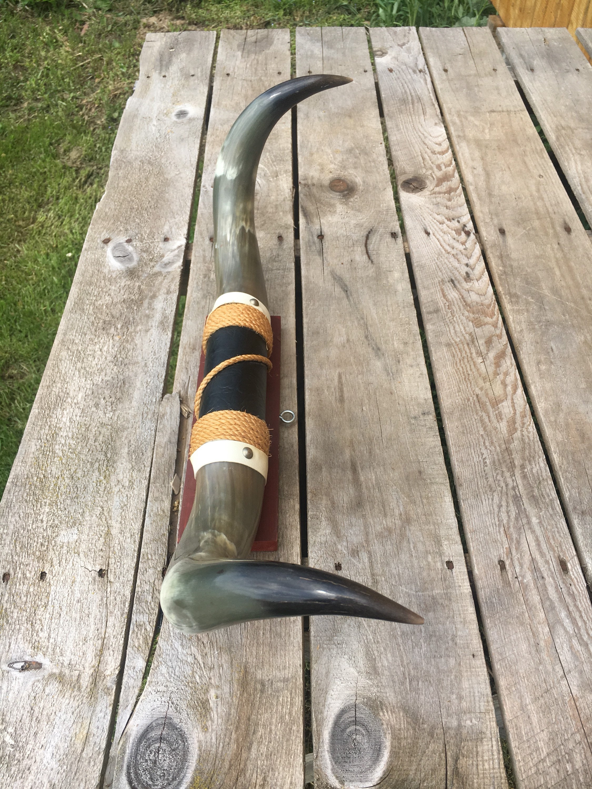 Vintage Bull Horns, Mounted Bull Horns Black Leather Center Accent Rope