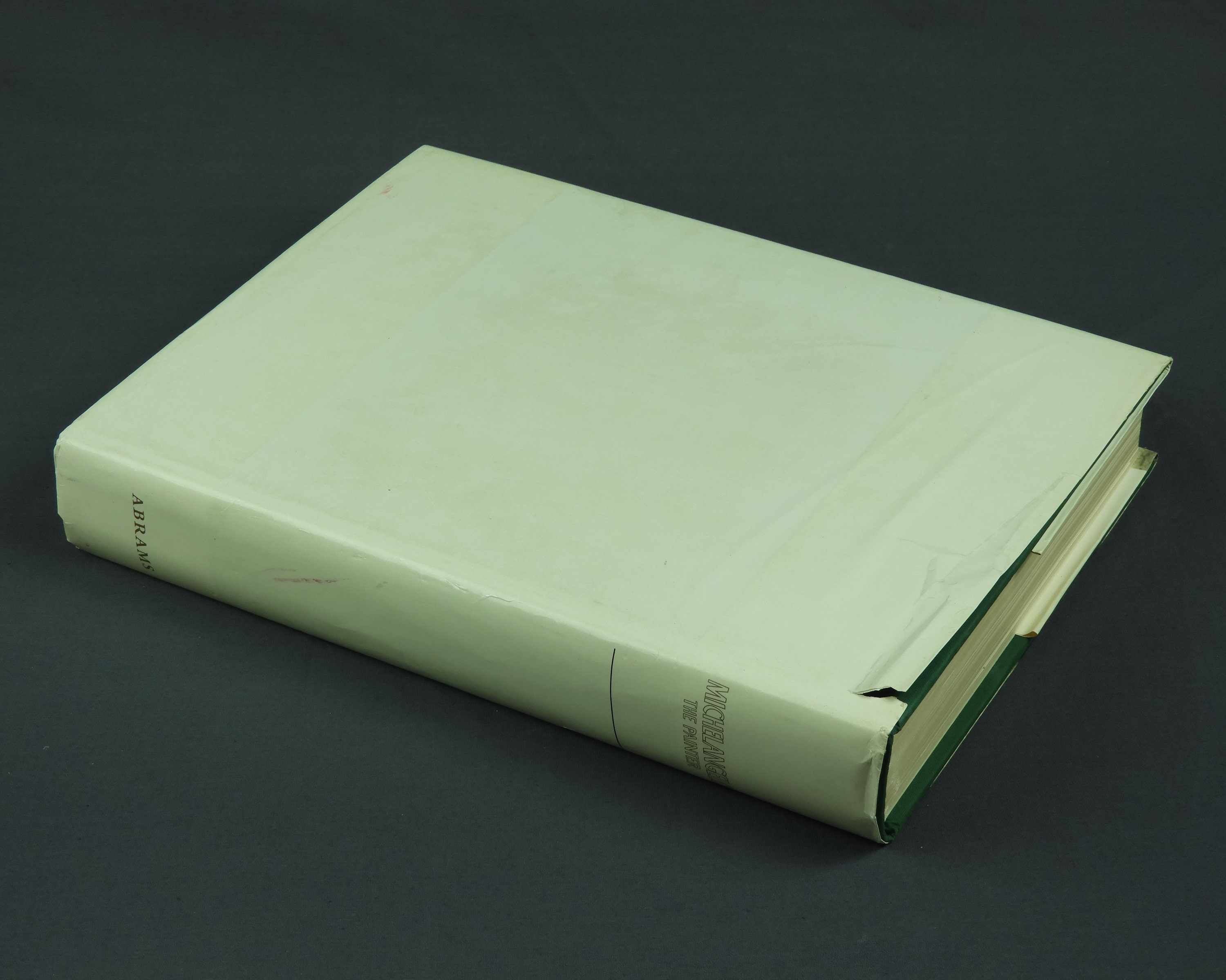 Vintage Michelangelo Book, The Painter, Hardback 1964 First Edition