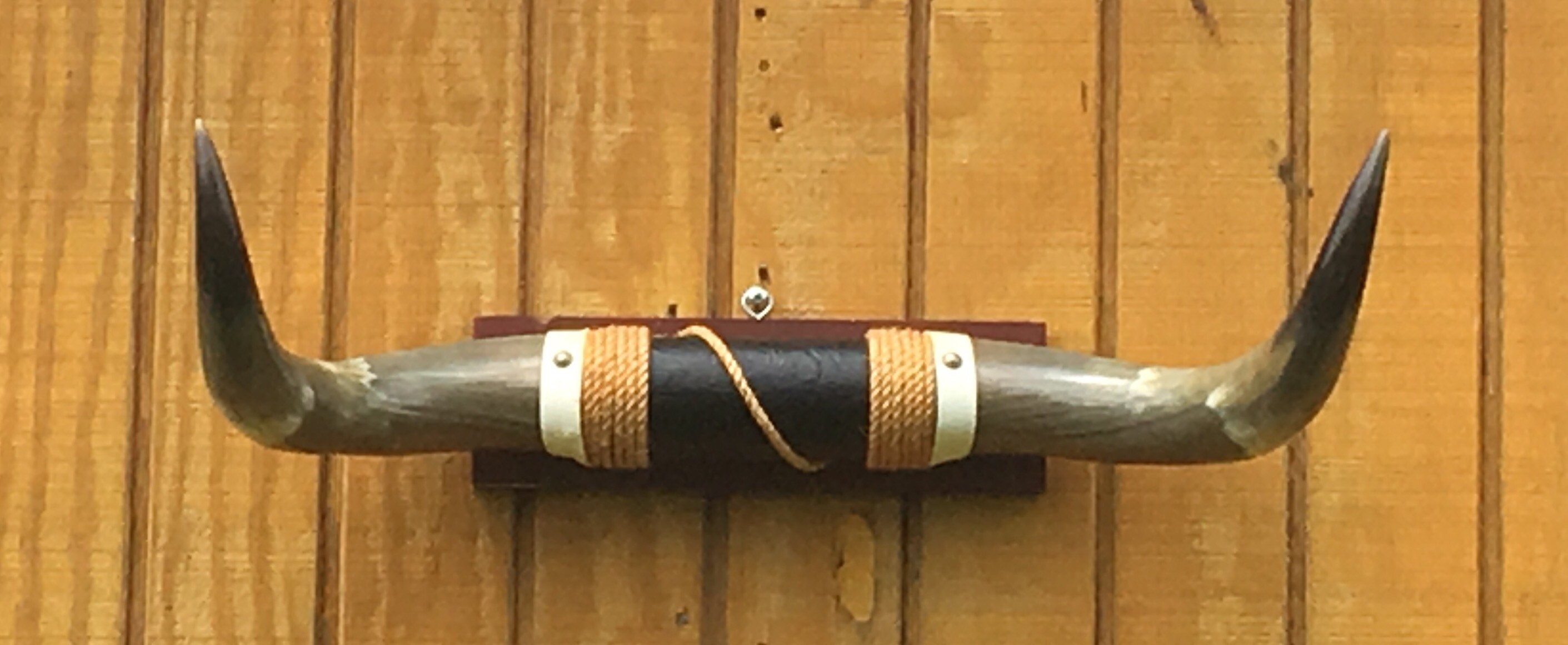 Vintage Bull Horns, Mounted Bull Horns Black Leather Center Accent Rope