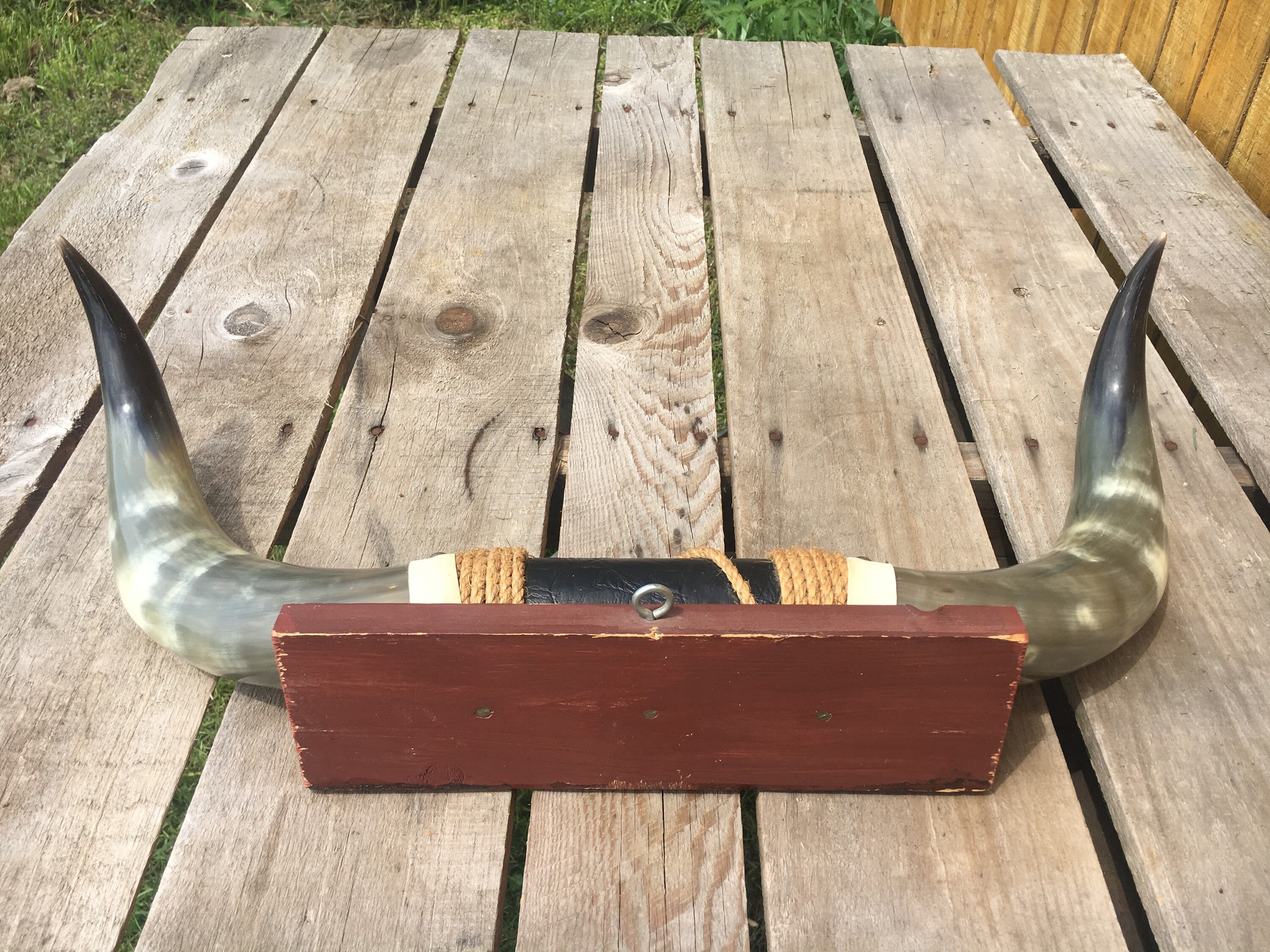 Vintage Bull Horns, Mounted Bull Horns Black Leather Center Accent Rope