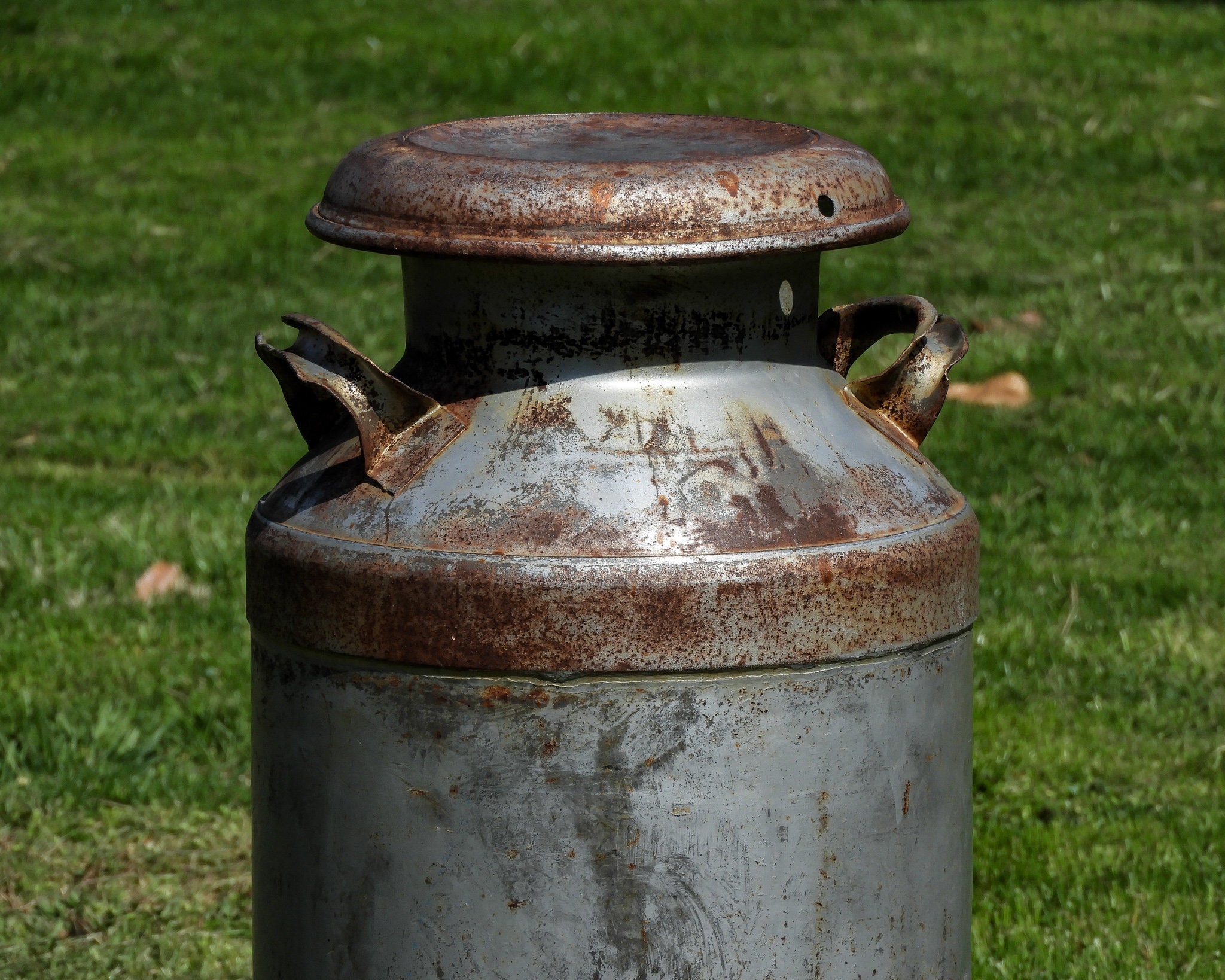 Vintage Milk Can, Superior Dairy, Distressed & Rustic, Silver Gray