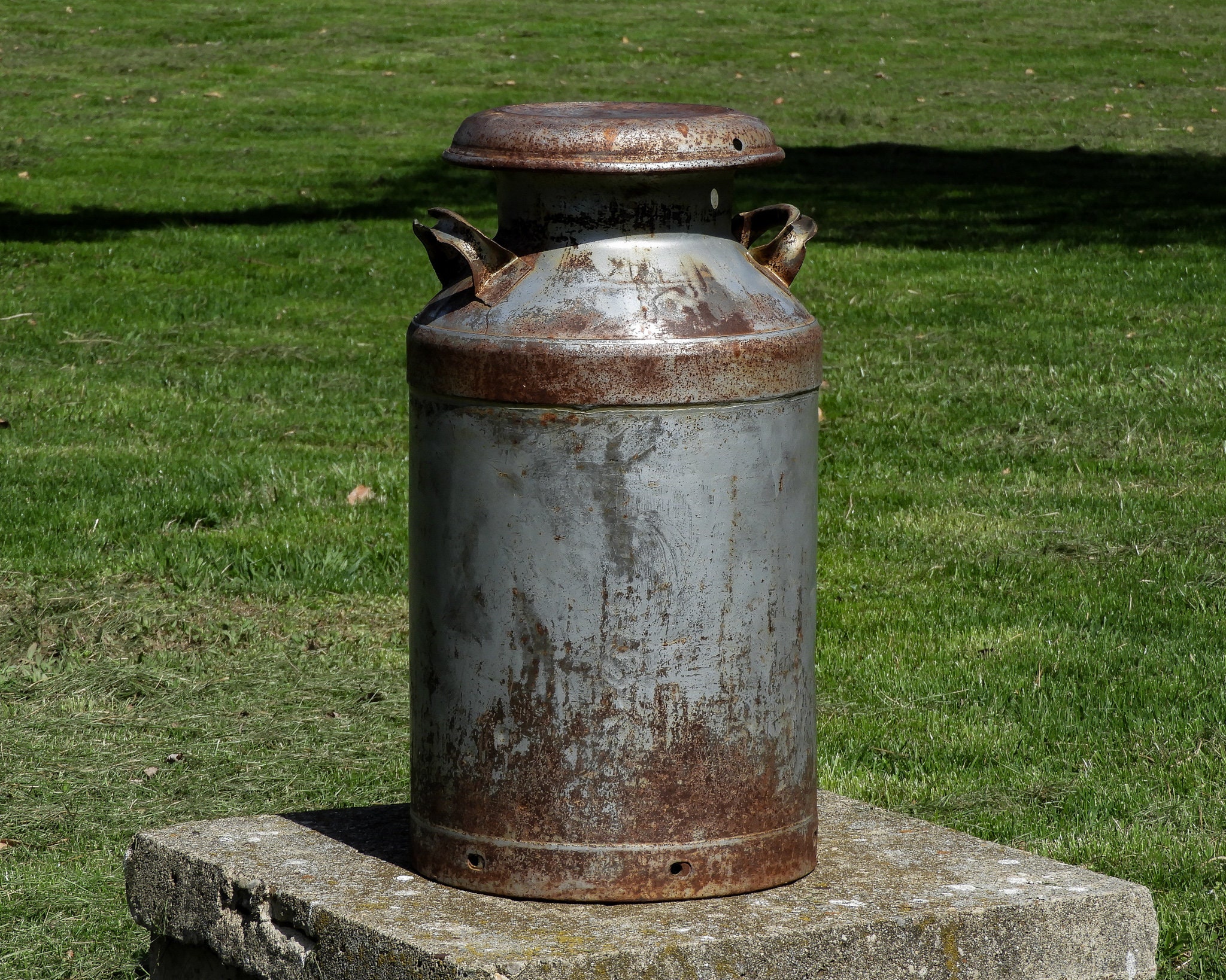Vintage Milk Can, Superior Dairy, Distressed & Rustic, Silver Gray