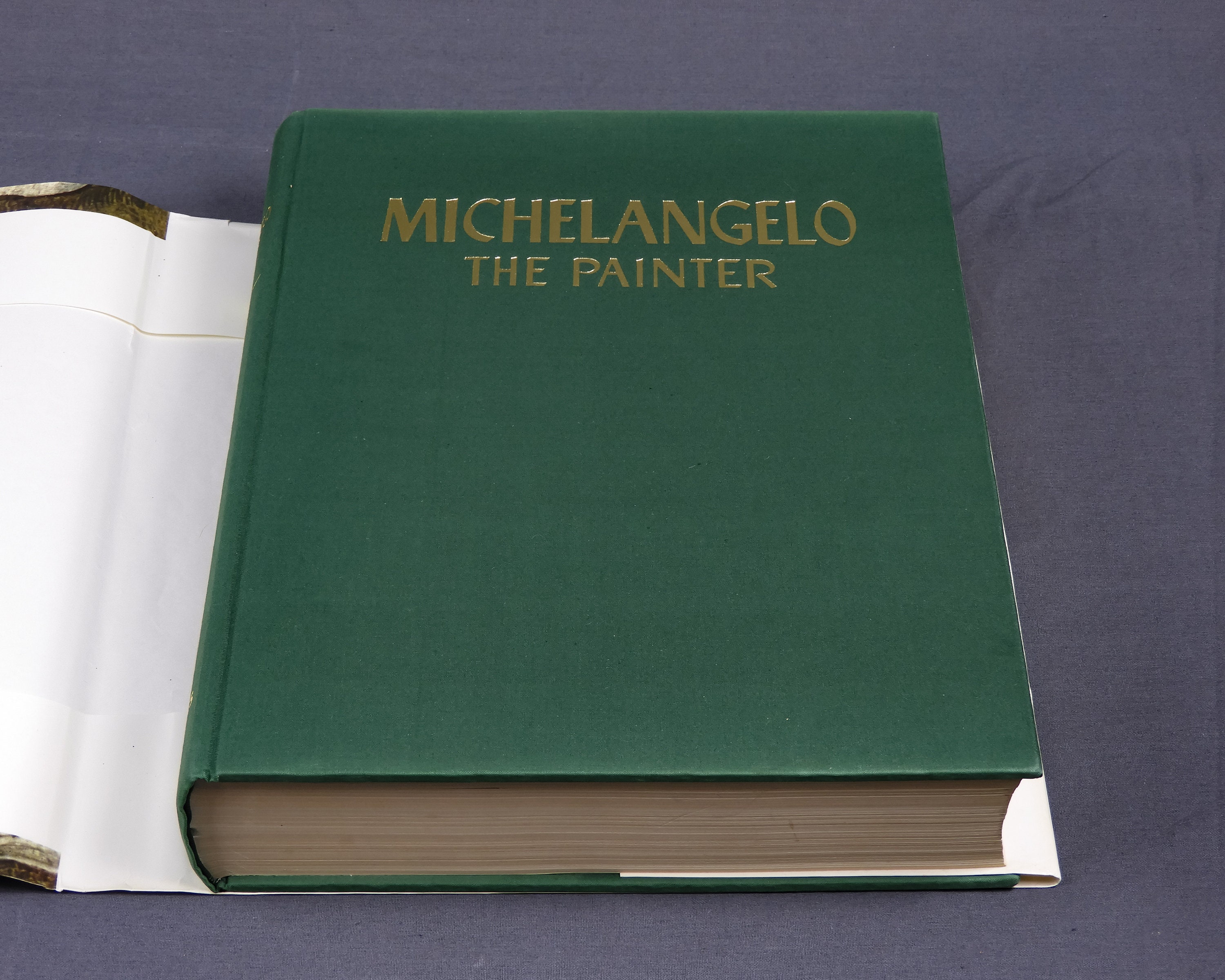 Vintage Michelangelo Book, The Painter, Hardback 1964 First Edition