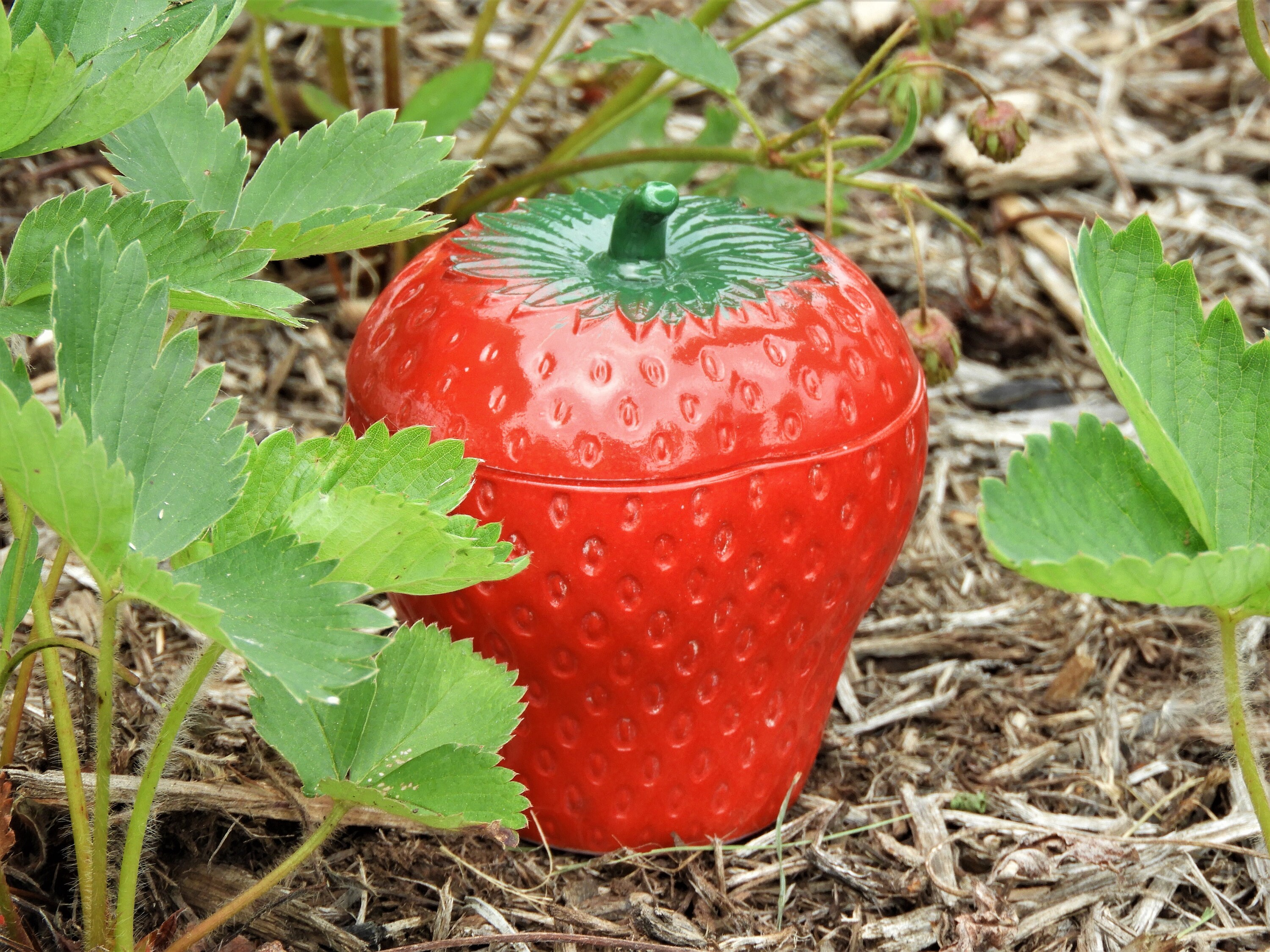 Vintage Strawberry Jar Hazel Atlas Milk Glass Red Green Kitchen