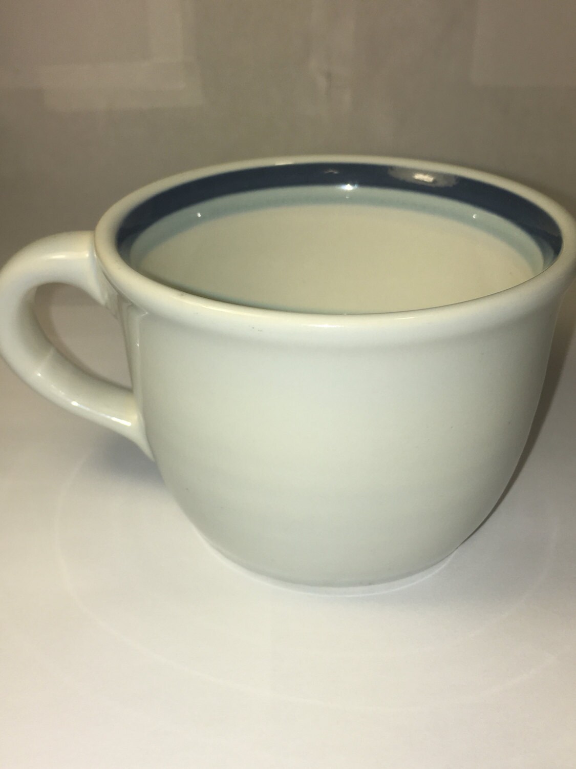 Vintage Pfaltzgraff Mug Northwinds Stoneware Coffee Cup Blue