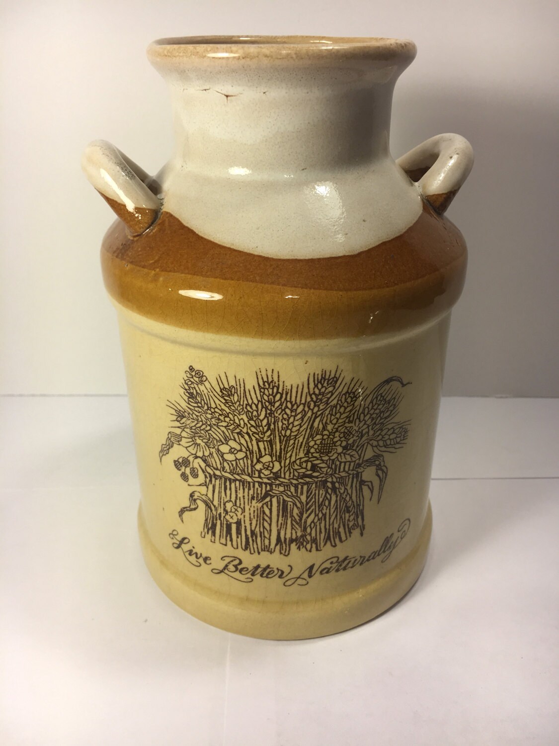 Vintage Ceramic Canister, Enesco Pottery Milk Jug Live Better Naturally