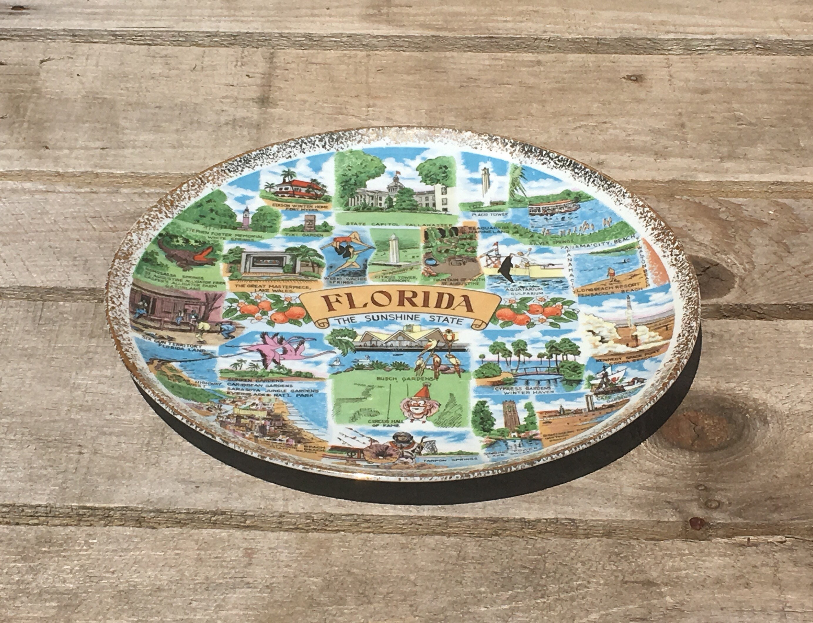 Vintage Florida Collectible, Sunshine State Souvenir Plate, Ceramic Arts Display Plate, Round