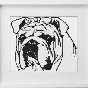 BOGO free, BULLDOG, cross stitch pattern, instant download, REF 108/Bulldog