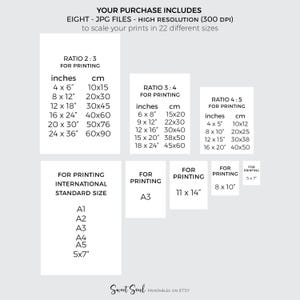 May include: A digital chart displaying eight high-resolution JPG files for printing in 22 sizes. It lists ratios 2:3, 3:4, 4:5, international standard sizes A1 through A5, and specific dimensions in inches and centimeters, including 11x14 and 8x10.
