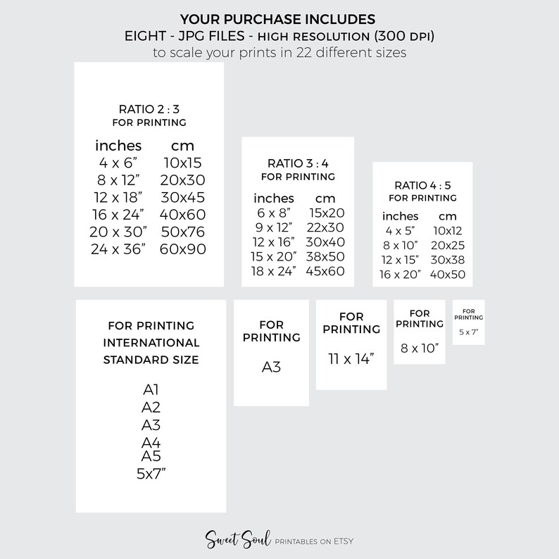 May include: A digital chart displaying eight high-resolution JPG files for printing in 22 sizes. It lists ratios 2:3, 3:4, 4:5, international standard sizes A1 through A5, and specific dimensions in inches and centimeters, including 11x14 and 8x10.