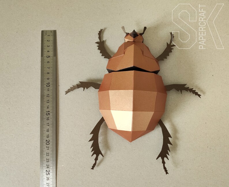 Japanese rhinoceros beetle image