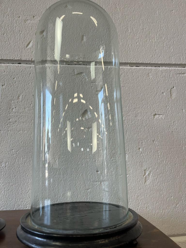 値下げ中！ヨーロッパヴィンテージ　ガラスドーム 値下げ中！ヨーロッパヴィンテージ ガラスドーム 値下げ中！ヨーロッパ