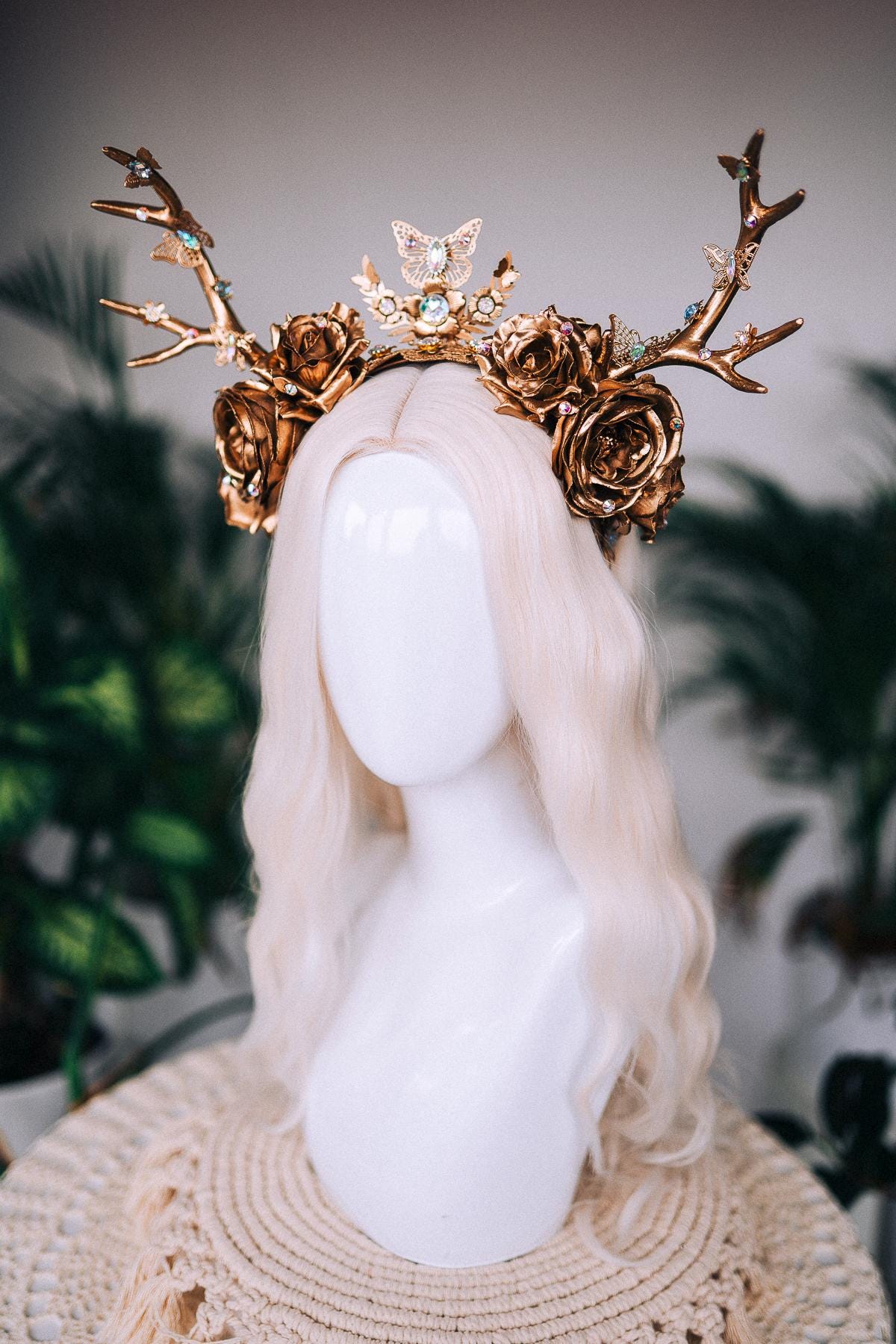 ビカクシダ Yellow Moon Dwarf Antler Crown ビカクシダ Yellow Moon