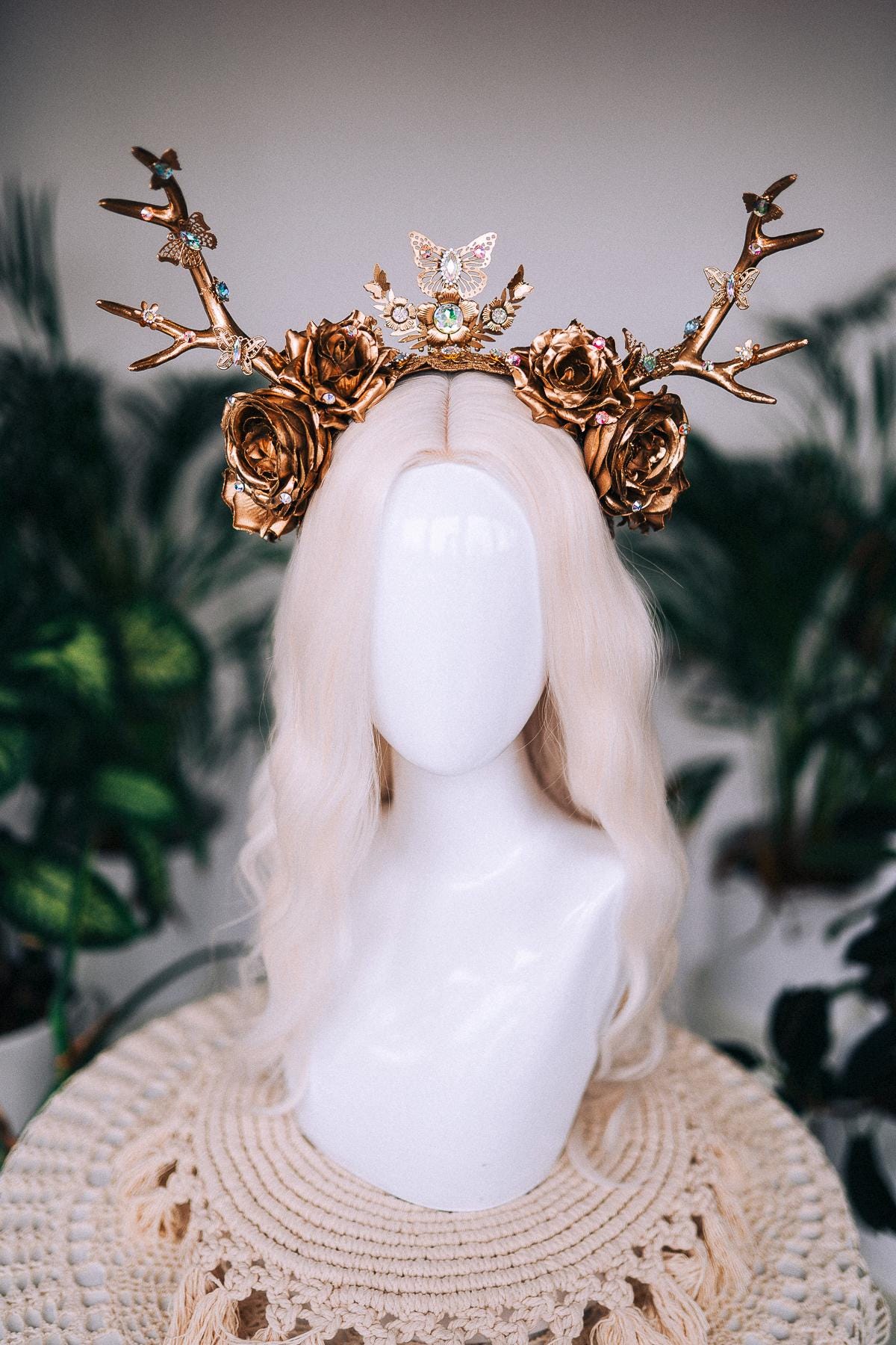 P. wilinckii YMD Antler Crown spore【07】 P. Willinckii cv.Antler Crown (spore[52] 【公式通販】