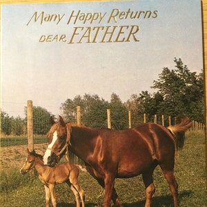 FABULOUS Vintage Circa 1970s 'Muitos retornos felizes querido pai' Cartão com foto retrô de cavalo e potro - Pai amoroso de cavalo - Cartão de aniversário nostálgico