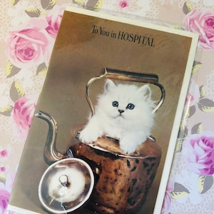 ZELDZAME Retro/Vintage Circa jaren 1960 'To You in Hospital' Fotokaart - Prachtige Perzische Kitten Foto - Mooi Vers - Kattenliefhebber Get Well Card