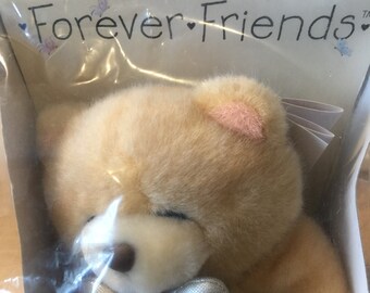 forever friends graduation bear