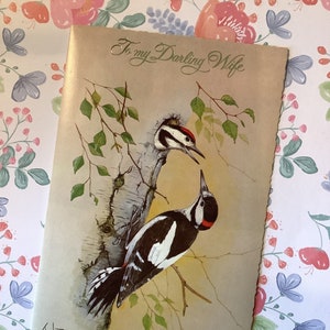 BELLE carte d'anniversaire vintage des années 1970 « To My Darling Wife » - Conception de pic avec verset doux La carte parfaite pour une femme aimant les oiseaux
