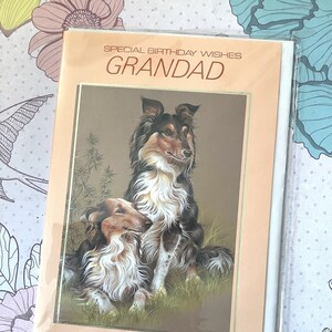 RARO Vintage Circa 1980s 'Deseos especiales de cumpleaños para abuelo', Diseño de perro Collie precioso, Saludo simple, Tarjeta de abuelo amante de perros