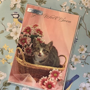 ZELDZAME vintage fotokaart 'Get Well Soon' uit circa jaren 1970 met retro kat en roze bloemen - mooi vers - kaart kattenliefhebber - kitsch - nostalgie - kaart om te bewaren