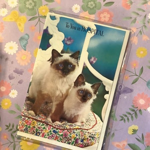 RARE Rétro/vintage Circa 1960s 'To You in Hospital' Photo Card - Superbe photo de chat - Lovely Verse -Cat Lover -Get Well Soon -Carte inhabituelle