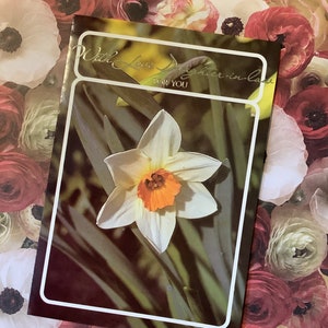 Raro vintage por volta de 1980 'com nora amante para você' cartão de aniversário - cartão com foto retrô de narciso deslumbrante - verso doce - cartão bonito