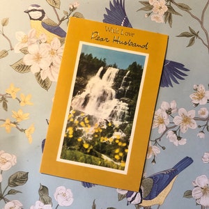 Cartão de aniversário EXTREMAMENTE RARO vintage por volta de 1960 'Com amor, querido marido' - Cartão com foto retrô de cena de cachoeira - Verso sentimental - Amante retrô