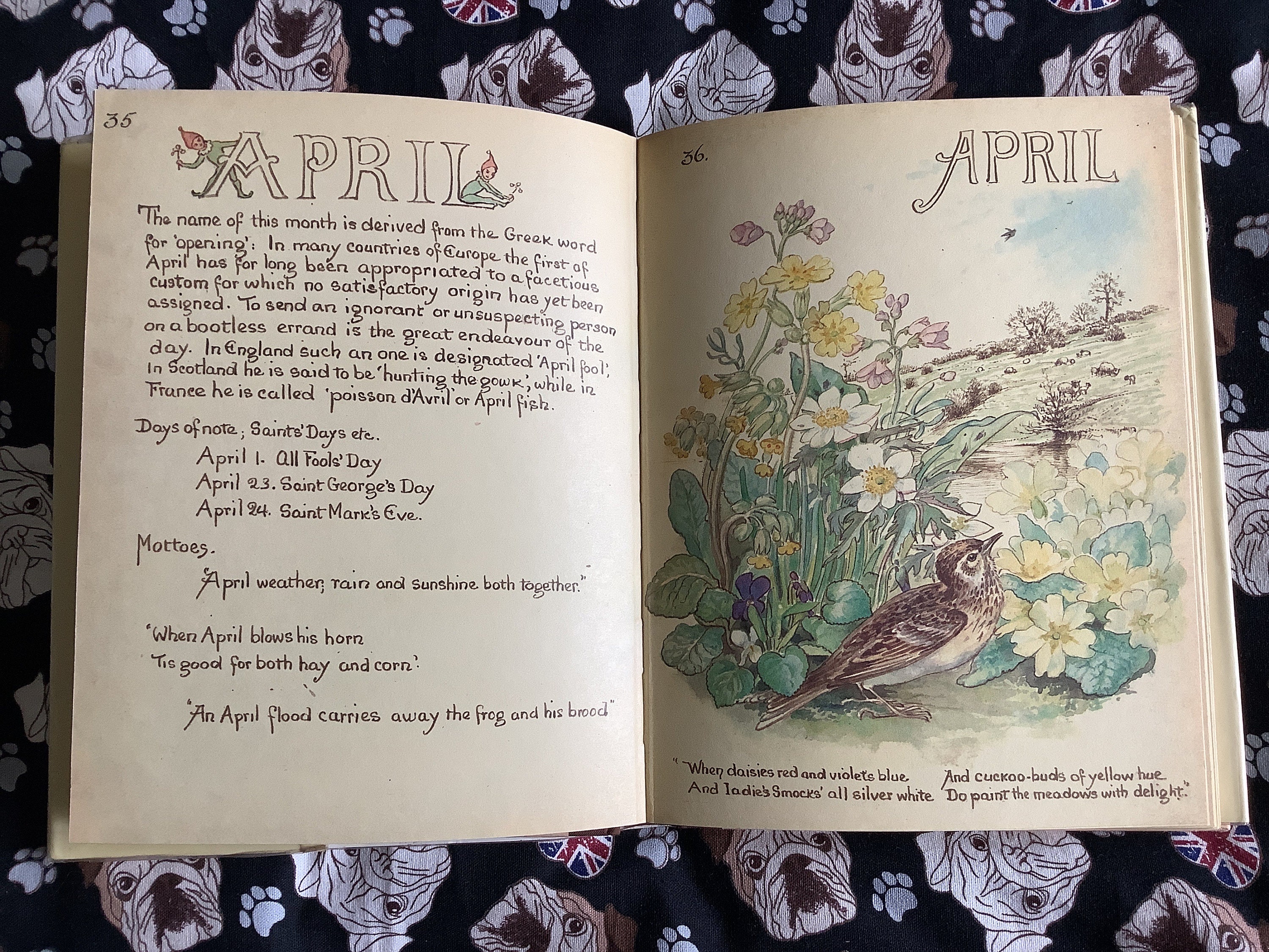 洋書 イギリスアンティーク The Country Diary of an The Country Diary of an Edwardian Lady: Edith Holden