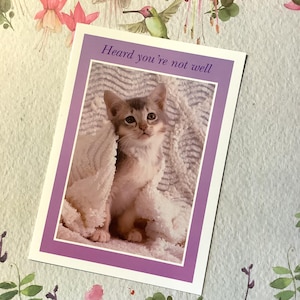 Carte de rétablissement rare vintage des années 1990 - ADORABLE carte photo de chat rétro - décorée à l'intérieur - jolie carte pour amoureux des chats - carte de voeux simple