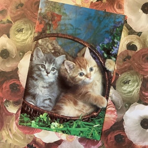 ZELDZAME vintage dochter verjaardag circa jaren 1970 schattige kittens in een mand fotokaart - nostalgie - kitten/retro liefhebbende dochter - eenvoudige groet