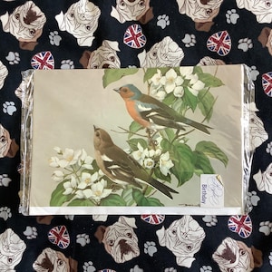Uiterst ZELDZAME vintage open verjaardagskaart uit de jaren 70 met een PRACHTIG 'Vink'-ontwerp naar een schilderij van Basil Ede - kaart om te bewaren of in te lijsten