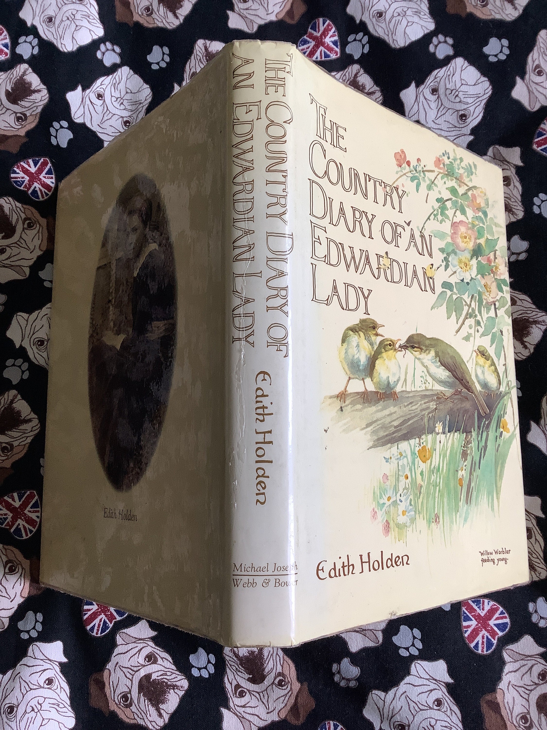 洋書 イギリスアンティーク The Country Diary of an Amazon.com: The Country Diary of an Edwardian Lady