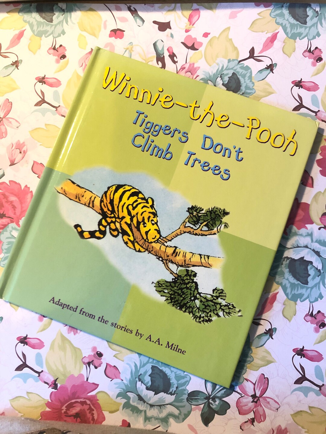 2002 winnie-the-pooh Tiggers Don't Climb Trees' - Etsy Finland