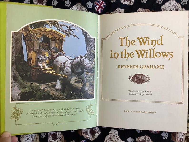 RARE Vintage 1983 Children's Book Kenneth Grahame's 'the Wind in the ...