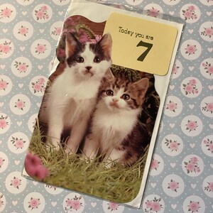 Raro Vintage Circa 1970s 'Hoje você tem 7' Retro ADORÁVEL Par de Gatinhos Cartão Fotográfico - Cartão Nostálgico - Doce Verso Dentro - Cartão Amante de Gatos