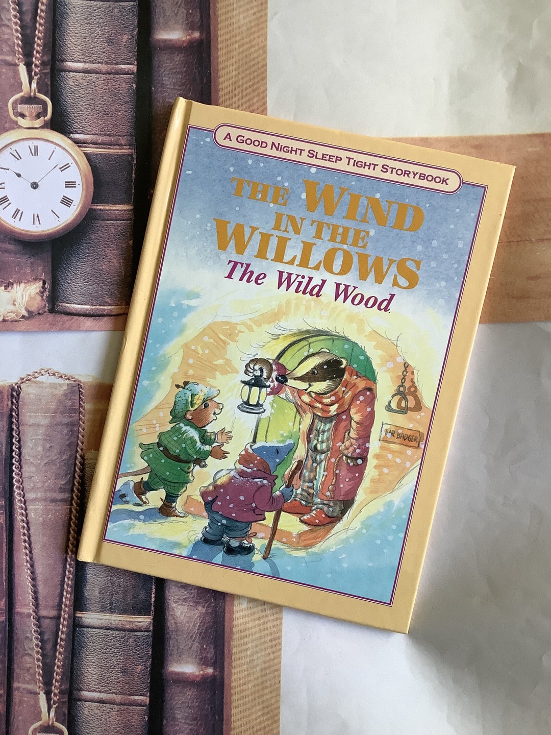 RARE 1994 Vintage Children's Book 'the Wind in the Willows - the Wild ...