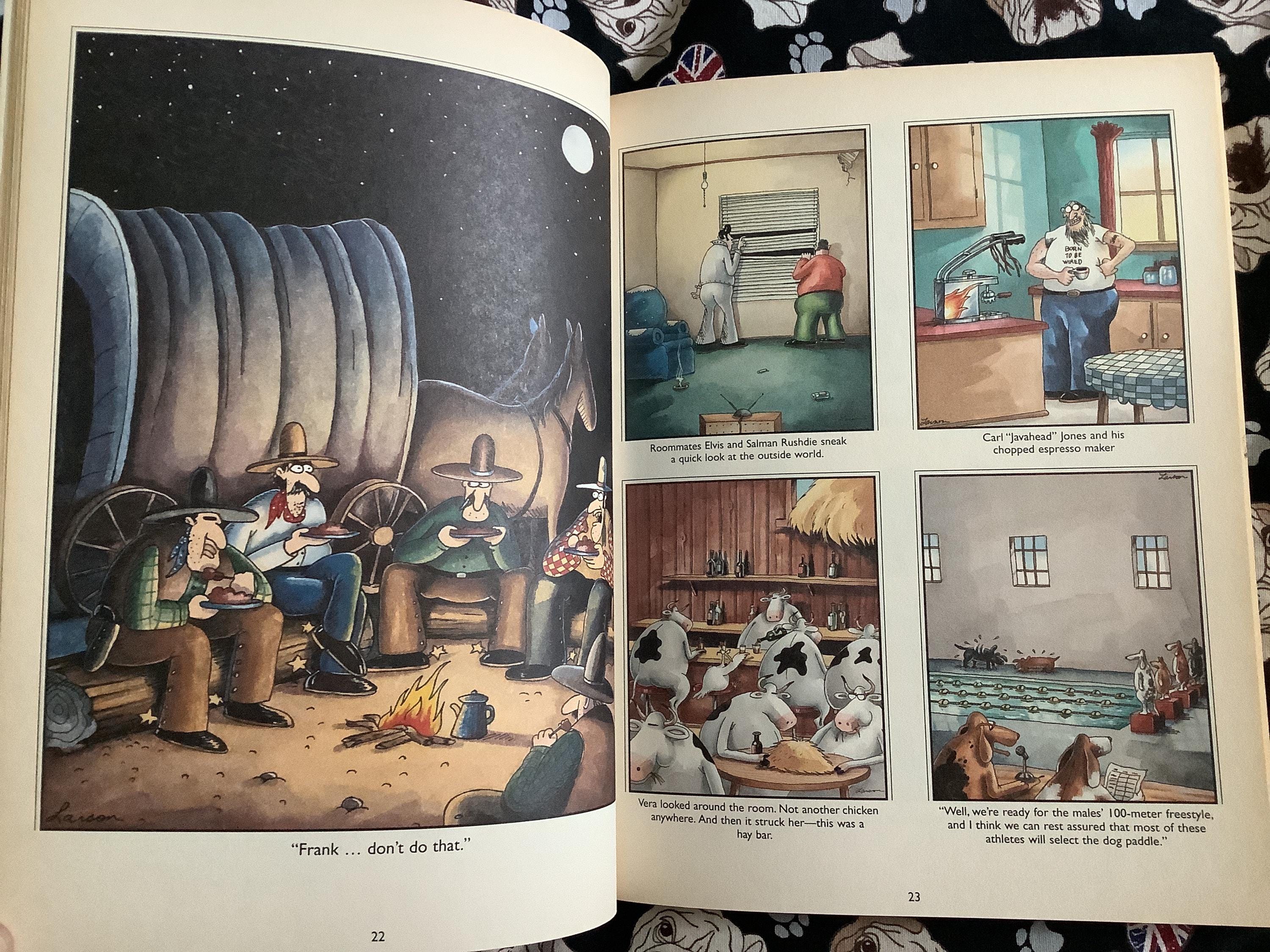 RARE Vintage 1995 'the Far Side Gallery 5' Book in Paperback - by