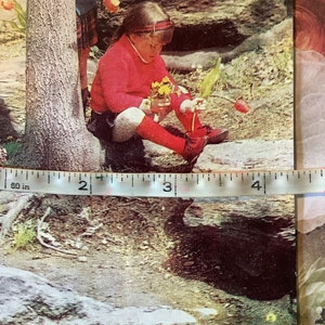 EXTREMELY RARE Vintage Circa 1970s 'Today You're 5' Retro Photo Card featuring 2 Little Girls playing in a Forest/Wood Childhood Nostalgia image 6