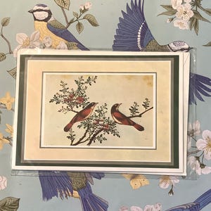 RARA cartolina vintage degli anni '70 circa di Ling con STUPENDA coppia di uccelli e motivo floreale. Una graziosa cartolina nostalgica da inviare, custodire o incorniciare.
