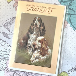 SELTENE Vintage Circa 1980er Jahre 'Special Birthday Wishes Grandad' Karte - Wunderschönes Spaniel Design - Einfache Begrüßung - Spaniel liebevolle Grandad Karte