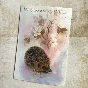 RARE Vintage Circa 1960s 'With Love to My Wife' Cartão de aniversário grande Sweet Hedgehog & Floral Design de Finlay - Verso sentimental - Cartão para guardar