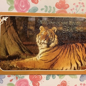 EXTREMAMENTE RARO, por volta de 1970, 'Com amor no seu aniversário, vovô' IMPRESSIONANTE cartão retrô com foto de tigre tirado por Robert T Smith - cartão de amante de tigre