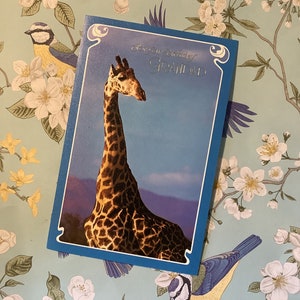 ESTREMAMENTE RARO degli anni '70 circa 'Per il tuo compleanno nonno' Splendida cartolina fotografica retrò con giraffa scattata da I. R. Beames - Carta nostalgica amante della giraffa