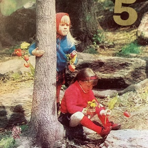 EXTREMELY RARE Vintage Circa 1970s 'Today You're 5' Retro Photo Card featuring 2 Little Girls playing in a Forest/Wood Childhood Nostalgia image 3