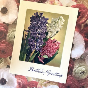 Uiterst ZELDZAME kaart 'Verjaardagswensen' uit de jaren 1950 - prachtig trio van fotokaart hyacintbloemen - een kaart om te koesteren - lieve groet