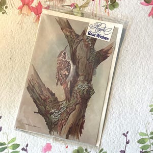 Uiterst ZELDZAME vintage kaart met open beste wensen uit circa jaren 1970 - PRACHTIG 'The Tree Creeper'-ontwerp naar een schilderij van Basil Ede - van kaart naar lijst